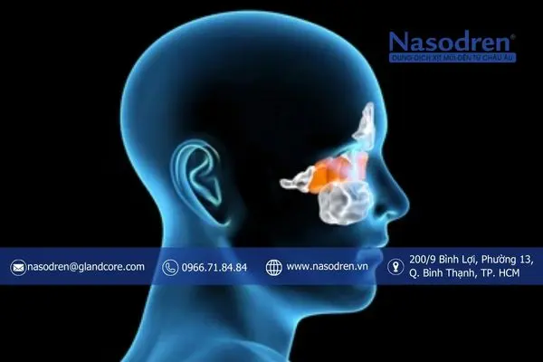 làm sao để nhận biết viêm xoang mũi sau