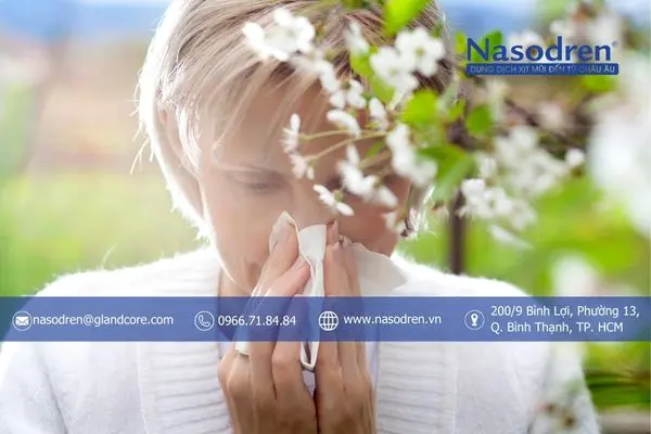 nguyên nhân gây viêm xoang mũi dị ứng thời tiết