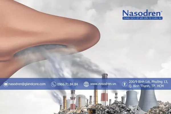 những nhóm người nào dễ mắc viêm xoang mũi